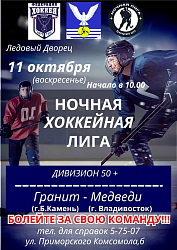Ночная хоккейная лига - Дивизион 50+ !