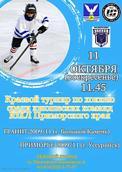 Хоккей: БОЛЬШОЙ КАМЕНЬ / УССУРИЙСК