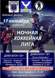 Ночная хоккейная лига - Дивизион 50+  и 18+